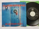 PAUL McCARTNEY WONDERFUL CHRISTMAS TIME  7