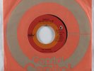Pop Psych 45 HONEYS Tonight You Belong To Me CAPITOL VG+ HEAR