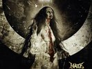HATE Solarflesh... 2xLP Pict.Lmtd.Triplefold DECAPITATED,BELPHEGOR,VADER,DEICIDE