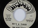 Garage Spy Tittyshaker 45 RARE SOUND He's A Tiger IN-SOUND promo HEAR
