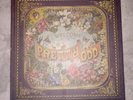 Panic  at the Disco Pretty. Odd. Limited edition Box Set. Never played w/ cert.