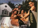 Big Daddy Kane - It's A Big Daddy Thing. Vinyl