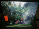Big Thief ** U.f.o.f. ***BRAND NEW ORANGE COLORED RECORD LP VINYL INDIE ONLY