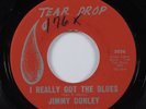 Swamp Soul Rocker 45 JIMMY DONLEY I Really Got The Blues TEAR DROP HEAR