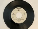 Lorraine Ellison-Try (Just A Little Bit Harder) b/w In My Tomorrow 7” Promo VG+