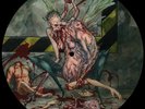 CANNIBAL CORPSE Bloodthirst LP PICTURE DISC Unplayed NEW Vinyl