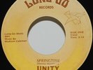 Unity 45 Springtime on Long-Go Rare Pittsburgh Northern Blue Eyed Soul John Papi