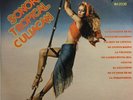 Sonora Tropical Culiacan Sexy Cover Cheesecake lp