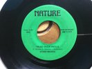 VERY RARE Pittsburgh SOUL: Stone Wicked 