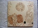 Devendra Banhart  - Rejoicing in the Hands - XL Rec. 2004 NM