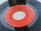 PAUL McCARTNEY  USA 1976  RADIO SHOW  PROMO 45  WHAT'S IT ALL ABOUT  ?