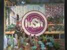 Lush- Love Life Mint Condition Vinyl In Original Packaging