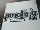 The Prodigy Experience (2x vinyl - original  1992 press) XL. Good condition.