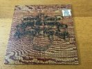 STEVE EARLE & THE V-ROYS - JOHNNY TOO BAD - 1996 10