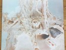 Pale Saints - In Ribbons LP - CAD 2004 - Includes Free 7”