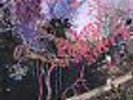 ANIMAL COLLECTIVE-HERE COMES THE INDIAN-2004 SEALED VINYL-UNBEATABLE PRICES