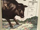 BullAngus, DJ Copy, Rare, LP Album Mercury SRM1-619 Bull Angus Vinyl, Promo,