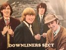 The Downliners Sect-‘The Rock Sect’s In,’ Freakbeat,Mod,First Press