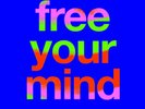 Cut Copy ‎- Free Your Mind - 2x Vinyl / Record - Modular Recordings - MODVL179
