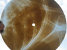 BEATLES - HELP  - UNIQUE USSR GEORGIAN X-RAY ROENTGEN RIBS BONES RECORD