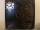 LURKER OF CHALICE - S/T 2xLP NWN Leviathan Xasthur Darkthrone Black Metal Rare
