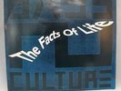 Bass Culture - The Facts Of Life - UK House/Techno - Vinyl Record
