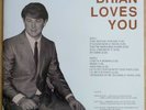 Brian Wilson - Brian Loves You - VINYL RECORD - 33 RPM