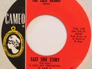 BOB SEGER & LAST HEARD East Side Story CAMEO 45 garage fuzz ‘66 orig. NM HEAR