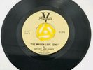 V RECORDS THE MAIDEN LOVE SONG - THIS IS OUR LAND MICKEY AND BUNNY V-117 45 RPM