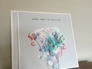 Sleater Kinney No Cities to Love 12