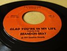 BRANDON BRAY - GLAD YOU’RE IN MY LIFE Hawaii Hawaiian 45 rpm 1977