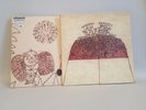 Devendra Banhart LP Oh me oh my / Rejoicing in the hands & Nino rojo Record Set