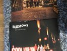 BLOSSOMS (VINYL) And  BLOSSOMS COOL LIKE YOU DELUXE EDITION (2 LP)