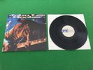 JOHN LEE HOOKER- Boom Boom - Vinyl  LP 1992 UK VPBLP12