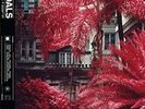 Foals everything not saved will be lost - part 1- Vinyl