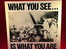 VARIOUS What You See Is What You Are 1978 UK vinyl LP EXCELLENT Alternative TV