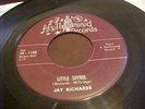 JAY RICHARDS Little Shyrel / Echoes On My Mind DOO WOP R&B ROCKER