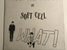 SOFT CELL The Live And Studio Adventures of 12