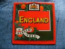 °° - °° ENGLAND - Garden Shed -   ARISTA ARTY 153 - LP