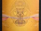 Devendra Banhart - What Will We Be (2 LP Vinyl)