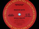 Marvin Gaye - Sexual Healing 12