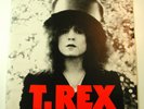 T. REX The Slider Marc Bolan Gatefold Reprise MS 2095 Club Ed No Barcode 1972 LP
