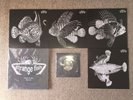Strange Fish One To Four / Five 4 LP And 1 7” Box Set Fruits De Mer