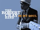 Robert Band Cray - In My Soul