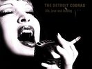 The Detroit Cobras - Life, Love and Leaving
