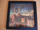 PINK FLOYD ANIMALS 1977 U.K. L.P. SIGNED ROGER JULY 2017