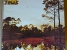 THE SILVER JEWS Starlite Walker LP DOMINO 1994 UK orig+insert WIGLP15 PAVEMENT