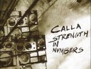 Beggars Banquet - Strength in Numbers