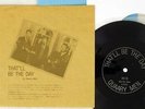 QUAARY MEN THAT'LL BE THE DAY BEATLES E-8099 Japan PROMO FLEXI DISC VINYL 7