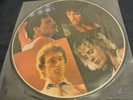 QUEEN - Colour Picture Disc Vinyl - Live At The Groenordhallen - Leiden Holland